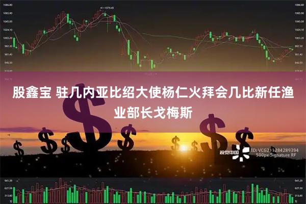 股鑫宝 驻几内亚比绍大使杨仁火拜会几比新任渔业部长戈梅斯