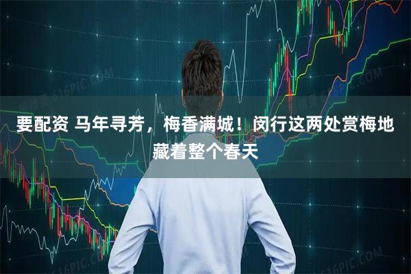 要配资 马年寻芳，梅香满城！闵行这两处赏梅地藏着整个春天