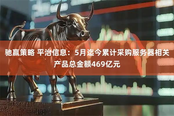 驰赢策略 平治信息：5月迄今累计采购服务器相关产品总金额469亿元